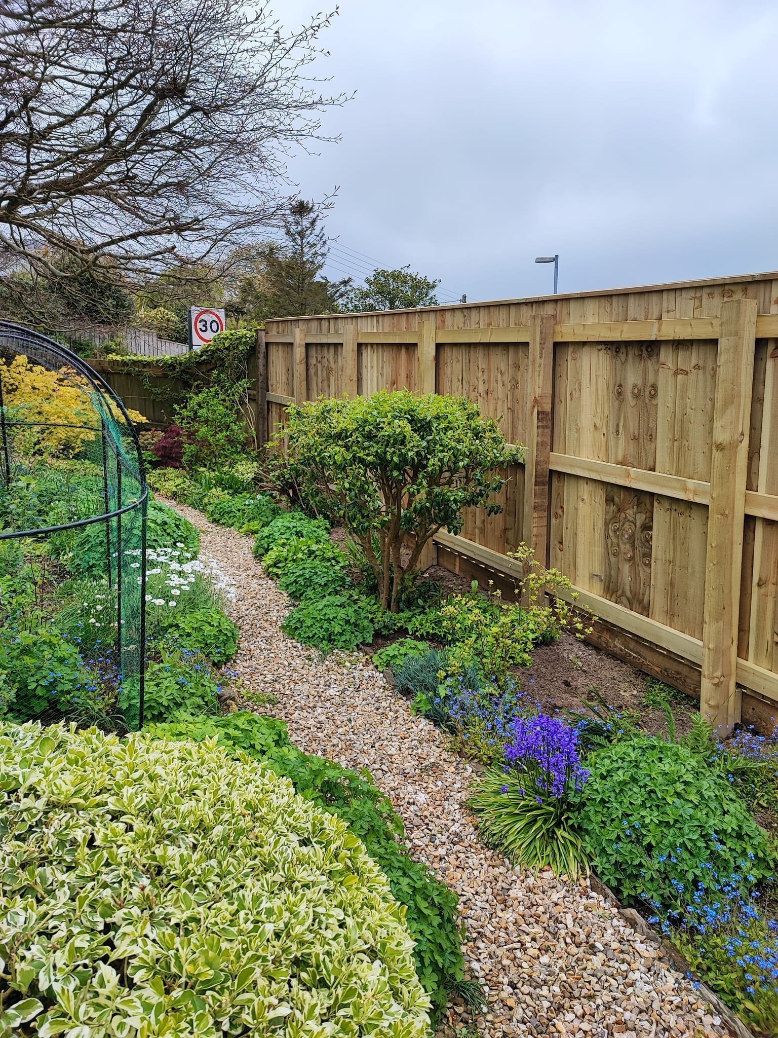 Your Local Landscaping Expert